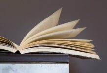 A consolidação da arbitragem nos contratos administrativos: efetividade ou risco ao interesse público?