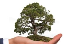 Acórdão TCU nº 1205/2023 – Plenário