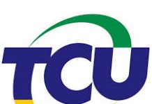 Publicação do estudo técnico preliminar na Lei de Licitações no entendimento do TCU